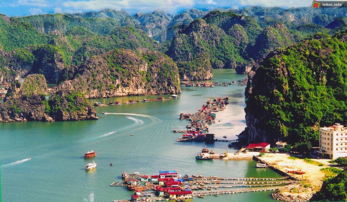 Vịnh Cát Bà