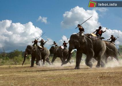 Tổ chức đua voi nhân dịp lễ hội cà phê 2011 tại Đắk Lắk