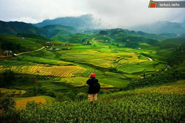 Cánh đồng lúa ở Sapa