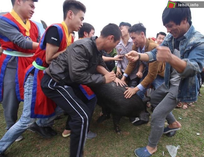 Thanh niên trai tráng tham gia lễ hội bắt lợn Ông Cầu 2018