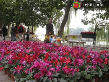 Lễ hội hoa mừng Đại lễ 1.000 năm Thăng Long Hà Nội