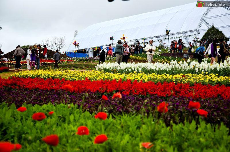 Gần 20 tỷ đồng sẽ được đầu tư cho Festival Hoa Đà Lạt lần thứ IV