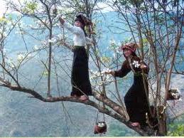 Lễ hội hoa ban của dân tộc Thái