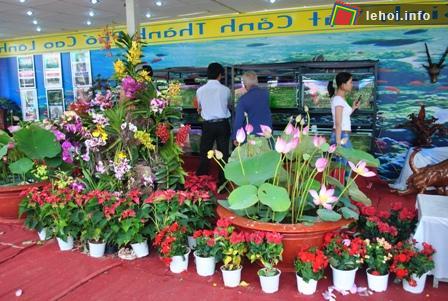 SaĐéc tại Hội chợ Sinh vật cảnh Đồng Tháp năm 2010
