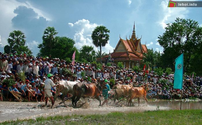 Đông đảo khán giả đến xem đua bò