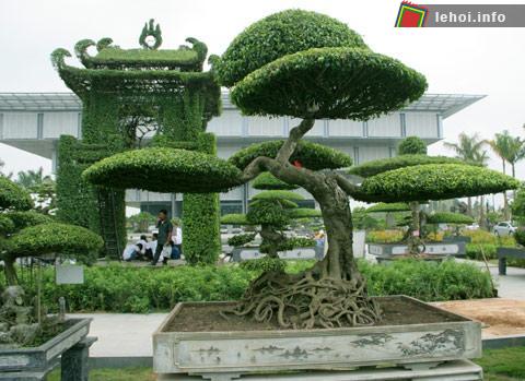 Lễ hội Sinh vật cảnh và Thương mại Đồng bằng sông Cửu Long 2010