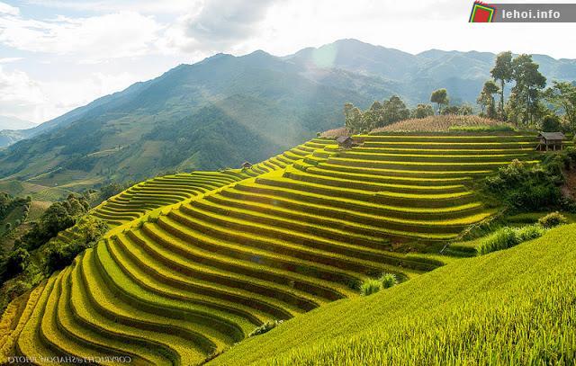 Ruộng bậc thang Mù Cang Chải.