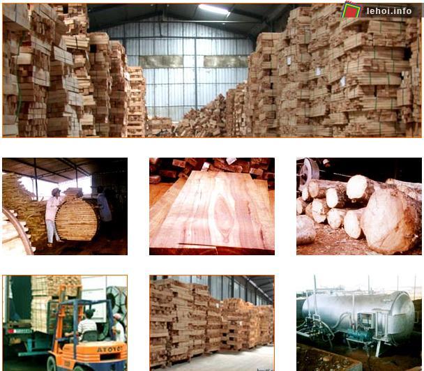 Chế biến Lâm sản mang lại đóng góp to lớn cho nền kinh tế Việt Nam.