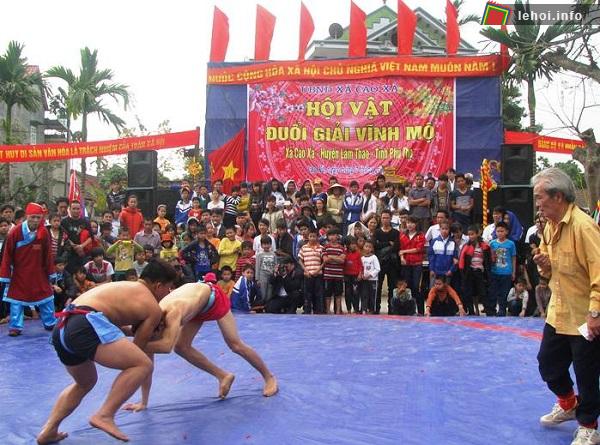 Đông đảo người dân tham gia hội vật đuổi giải Vĩnh Mộ