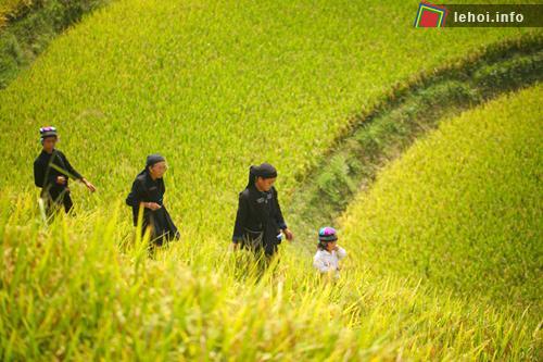Lễ cúng gọi hồn lúa của người La Chí cầu mong vụ mùa bội thu