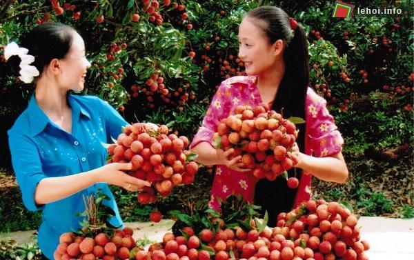 Người dân hân hoan chào đón lễ hội vải thiều Thanh Hà lần đầu tiên