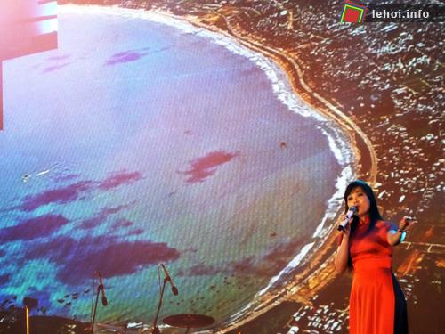 Hoành tráng lễ hội đếm ngược đón năm mới 2013 tại Đà Nẵng ảnh 1