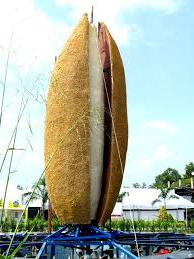 Hạt lúa khổng lồ tại Festival lúa gạo lần thứ II