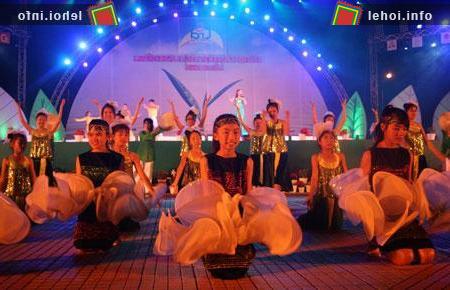 Vườn trà Bảo Lộc tại tỉnh Lâm Đồng