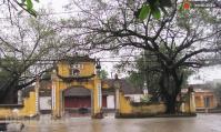Ảnh Lễ hội Làng Vẽ tại Bắc Giang