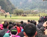Ảnh Lễ hội chọi bò hồ Ba Bể tại Bắc Kạn