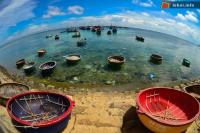 Ảnh Hội Dồi Bòng tại Quảng Ngãi