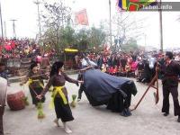 Ảnh Lễ hội cầu trâu ở Hương Nha tại Phú Thọ