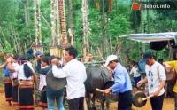 Ảnh Lễ hội Ká-pêê-nau của người Cadong tại Quảng Nam