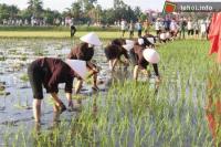 Ảnh Lễ xuống đồng tại Quảng Ninh