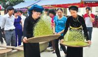 Ảnh Lễ hội giã cốm tại Tuyên Quang