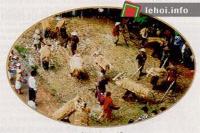 Ảnh Lễ hội tứ dân chi nghiệp tại Vĩnh Phúc