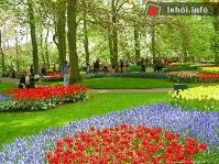 Ảnh Du xuân, ghé thăm những lễ hội hoa lớn nhất trên thế giới