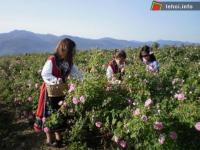 Ảnh Lễ hội hoa hồng ở Bulgaria