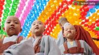 Ảnh Châu Á chào đón lễ Phật Đản