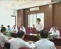 Ảnh Kế hoạch tổ chức Festival Du thuyền quốc tế 2014 ở Khánh Hòa