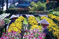 Ảnh Hoạt động mừng Tết Quý Tỵ 2013 tại tỉnh Đồng Tháp