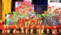 Ảnh Lễ hội vinh danh Hoa Phượng đỏ Hải Phòng 2012