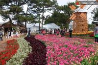 Ảnh Độc đáo nét hoa trước thềm Festival hoa Đà Lạt 2012