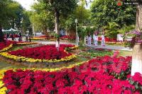 Ảnh Hà Nội: Tổ chức nhiều Lễ hội mừng Xuân Nhâm Thìn 2012