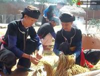 Ảnh Lễ hội 