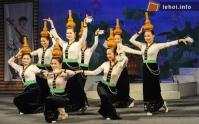 Ảnh Lễ hội Việt Nam tại Nhật Bản năm 2011