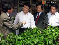 Ảnh Khai mạc Lễ hội chè ở đất Tổ