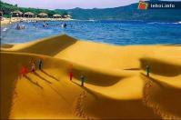Ảnh Phan Thiết tổ chức 2 lễ hội độc đáo quảng bá du lịch