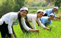 Ảnh Lễ hội rửa lá lúa của người Mường ở Hòa Bình