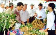 Ảnh Lễ hội tôn vinh nhãn lồng tình Hưng Yên