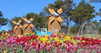 Ảnh Gần 20 tỷ đồng sẽ được đầu tư cho Festival Hoa Đà Lạt, tỉnh Lâm Đồng lần thứ IV