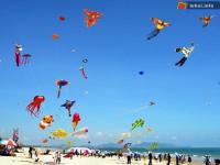 Ảnh Lần 3 tổ chức Festival Diều quốc tế ở Bà Rịa - Vũng Tàu
