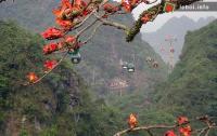 Ảnh Chùa Hương khai hội mồng 6 Tết Tân Mão 2011
