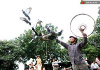 Ảnh Hội thả chim làng Dục Tú huyện Đông Anh - Hà Nội