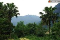 Ảnh Hội chùa Thắm tại Phú Thọ