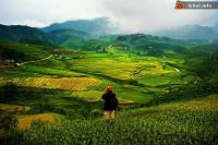Ảnh Tết đón hồn lúa mới của người Xa Phó ở Sapa