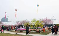Ảnh Lễ hội hoa Anh Đào - Mai Vàng Yên Tử