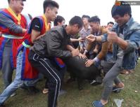Ảnh Hàng trăm người dân Phú Thọ hò hét bắt lợn ông Cầu lấy may đầu xuân 2018